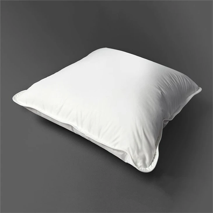 Luxury Hotel Cushion